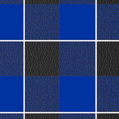 kentucky wildcats