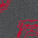 georgia bulldogs uga