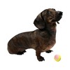 Midlee X-Small Dog Tennis Balls 1.5" Pack of 12 - 2 of 4