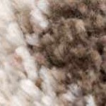 off white, dark brown