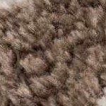 off white, dark brown