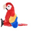 CK SCARLET MACAW - 3 of 4