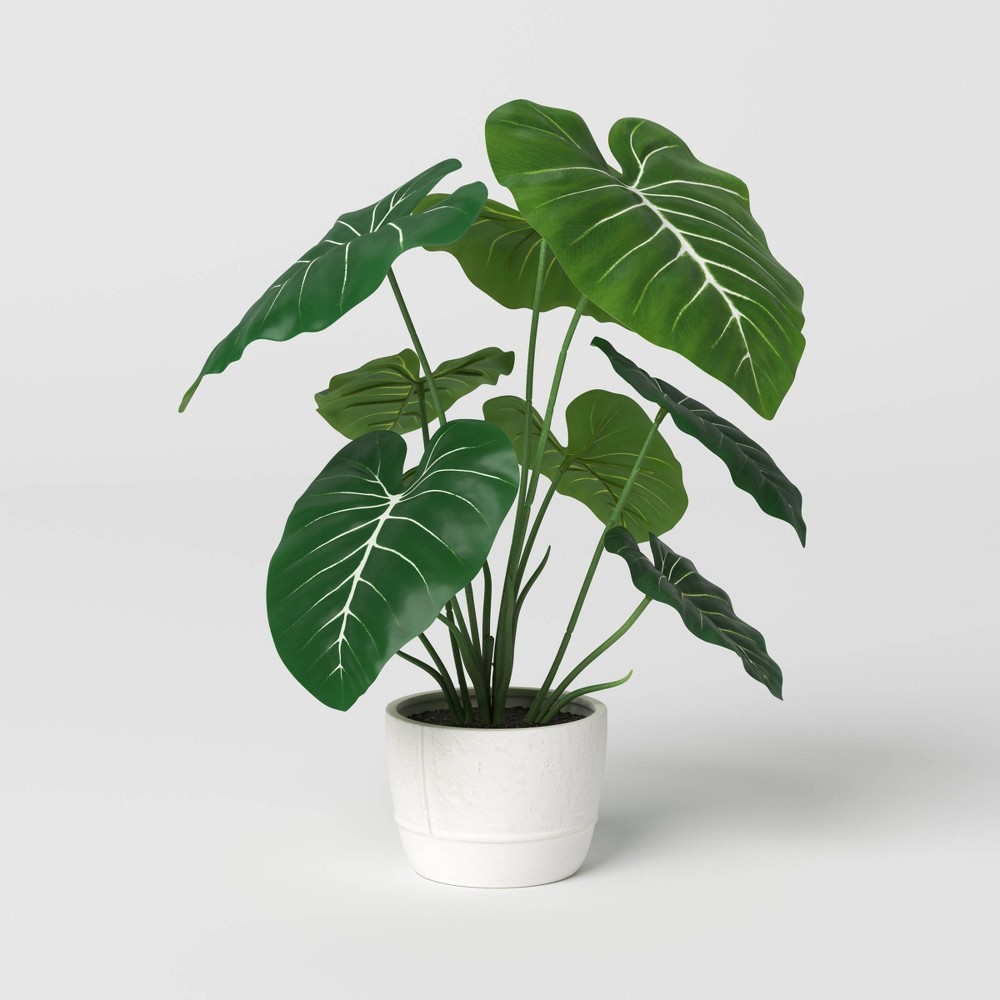 Large Artificial Dasheen Leaf Plant - Threshold™: 19" Taro in Ceramic Pot, Indoor Faux Flora Decor
