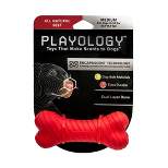 Playology Beef Scent Bone Dog Toy - Red - M