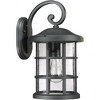 Quoizel Lighting Crusade 1 - Light Sconce in  Earth Black - 3 of 4