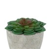 Unique Bargains Artificial Plants Mini Giant Echeveria in Pulp Plastic Green 2.76"x2.76"x2.95" 1 Pcs - 4 of 4