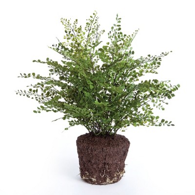 Plum & Post Maidenhair Drop-In Faux (Fake) 23"