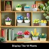 1174-Piece Succulent Building Set, Create 12 Artificial Plants for Home Decor and Creative Gifts - 4 of 4