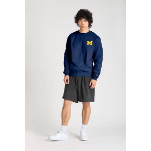 NCAA Michigan Wolverines Men's Champion Crew Neck Sweatshirt - L