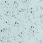 charcoal heather