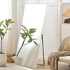 PexFix 20 in. W x 59 in. H Rectangular Metal Framed Full Length Wall Mirror Free Standing Mirror in Silver - 2 of 4
