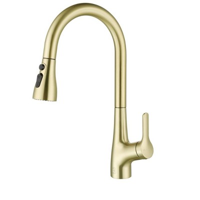Elegant Lighting Andrea Single Handle Pull Down Sprayer Kitchen Faucet in Brushed Gold