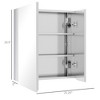 Wall Mounted Bathroom Medicine Cabinet with Hinged Door Storage Shelves for Living Room and Laundry Room Silver - 3 of 4