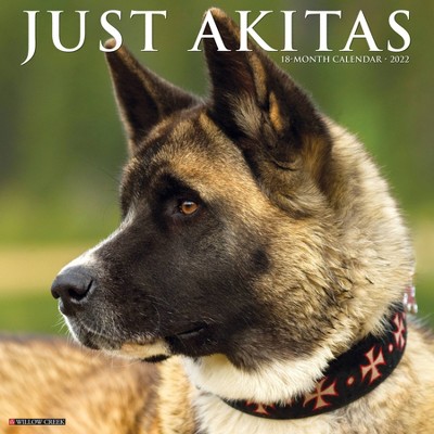 2022 Wall Calendar Just Akitas - Willow Creek Press