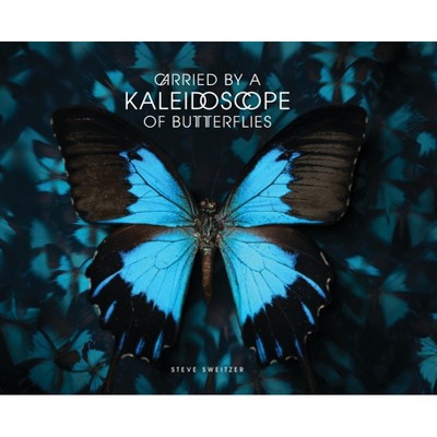 Carried by a Kaleidoscope of Butterflies - by  Steve Sweitzer (Hardcover)