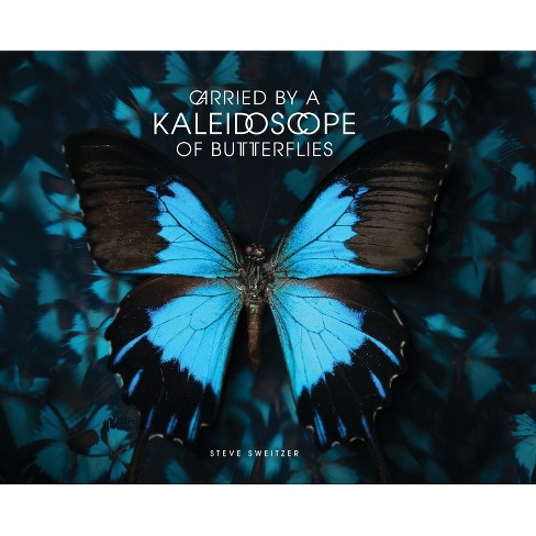 Carried by a Kaleidoscope of Butterflies - by  Steve Sweitzer (Hardcover) - image 1 of 1