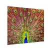 Trademark Fine Art Michael Peacock Wood Slat Art - 2 of 4