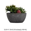 Unique Bargains Artificial Plants Plastic Blue Green 5.91"x1.18"x5.91" 1Pcs - 3 of 4