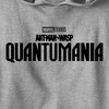 Boy's Ant-Man and the Wasp: Quantumania Movie Logo Black Pull Over Hoodie - 2 of 4