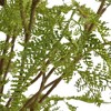 Uttermost Woodland Fern Centerpiece: Effortless Fern Fronds with River Rocks & Faux Water - 4 of 4
