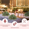 SKRAN 20-Inch Christmas Ground Tree With 220 tree tips and flowering pine needles,14 pine cones,and 12 red berry for Porch, Pathway, or Entryway Decor - 4 of 4