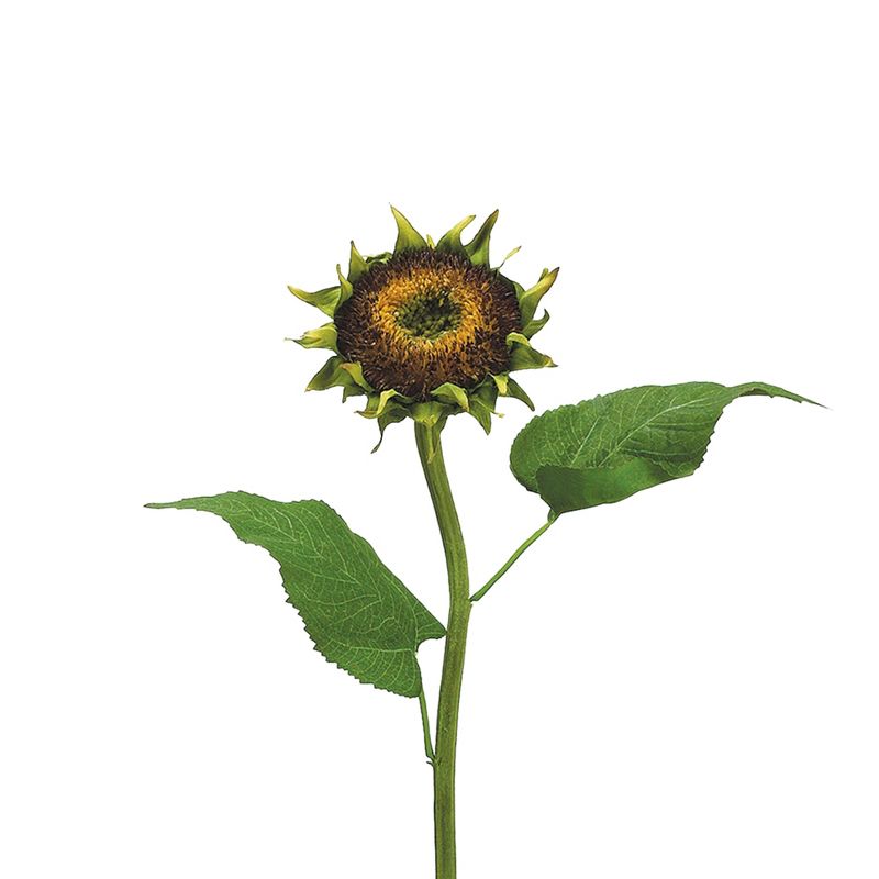 Allstate Floral 28" Brown Sunflower Artificial Spray, 4 of 5