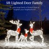 Best Choice Products 3-Piece Rattan Deer Set, Lighted Christmas Outdoor Decoration w/ 360 Lights, Stakes - Brown - 2 of 4