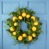 Northlight Lemons and Assorted Foliage Spring Wreath - 20" - Yellow - 2 of 4