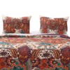 Greenland Home Fashions 1806AS Nirvana Spice Sham - 2 of 4