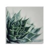 23" x 23" Radical Succulent by Emiko and Mark Franzen of F2 Images Floating Acrylic Unframed Wall Decor - Kate & Laurel All Things Decor - image 2 of 4