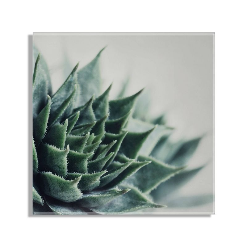 23&#34; x 23&#34; Radical Succulent by Emiko and Mark Franzen of F2 Images Floating Acrylic Unframed Wall Decor - Kate &#38; Laurel All Things Decor, 3 of 8