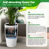 Round Planter Set of 2, Self Watering Pots for Indoor Plants, Large Flower Pot Outdoor with Built-in Drainage and a Water Level Monitor - 4 of 4