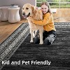 Acekool 5x7 Washable Rug – Modern Non-Slip Carpet for Living Room & Bedroom, Ultra-Thin Indoor Floor Mat - 3 of 4