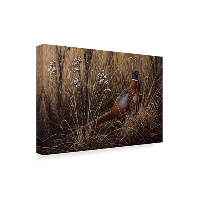Trademark Fine Art -Wilhelm Goebel 'Pheasant In The Grass' Canvas Art