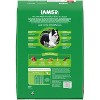 IAMS Proactive Health Minichunks Beef and Rice Flavor Recipe Adult Dry Dog Food - 15lbs - 2 of 4