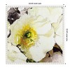 Amanti Art White Poppies Up Close Neutral by Shirley Novak Framed Canvas Wall Art - 4 of 4