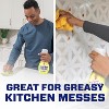 Mr. Clean Clean Freak 16 oz. Original Gain Scent Deep Cleaning Mist  Multi-Surface Spray Starter Kit 003700079127 - The Home Depot