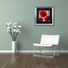 Trademark Fine Art -Color Bakery 'Rouge Two' Matted Framed Art - 3 of 4
