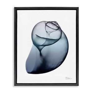 Stupell Industries Contemporary Snail Shell Floating Frame Canvas Art - 1 of 4