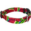 Country Brook Petz® Deluxe Summer Melon Dog Collar - Made in The U.S.A. - image 3 of 4