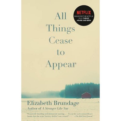 All Things Cease to Appear - by  Elizabeth Brundage (Paperback)