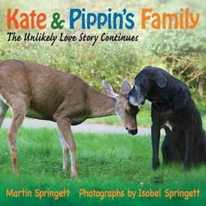 Kate & Pippin's Family - by  Martin Springett (Paperback) - 1 of 1