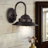 JONATHAN Y 8.25" 1-Light Rodanthe Farmhouse Industrial Iron/Glass Outdoor LED Sconce Oil Rubbed Bronze/Clear : UL Listed, Dimmable - 4 of 4
