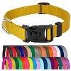 Country Brook Petz American Made Deluxe Nylon Dog Collar - 2 of 4