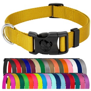 Country Brook Petz Everyday Nylon Dog Collar - 1 of 4