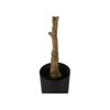 Syemin Artificial Plant Evergreen Tree Indoor Faux Fake Floor Greenery Potted Decorative Green Leaves Black Pot, Green, 35"*31"*42" - 3 of 4