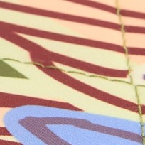 dragonfly by