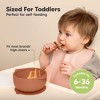 2-Pack Prep Baby Bowls with Suctions & Lids, Silicone Bowls for Baby Boy, Girl, Toddler Suction Bowl, Kids Bowl BPA-Free - 3 of 4
