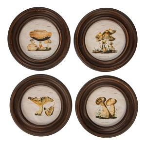 Storied Home (Set of 4) Round Reclaimed Wood Framed Mushroom Print Wall Art Set: MDF, Modern Decor, Sawtooth Back Mount - 1 of 4