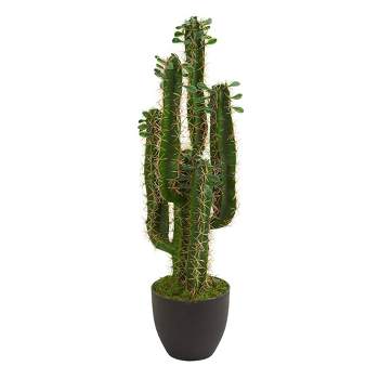 El fabuloso mundo de los cactus - Cactus artificial entre cactus naturales